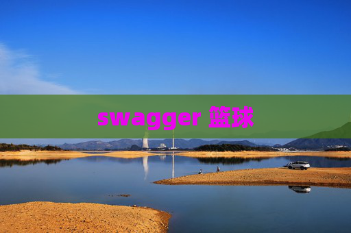 swagger 篮球